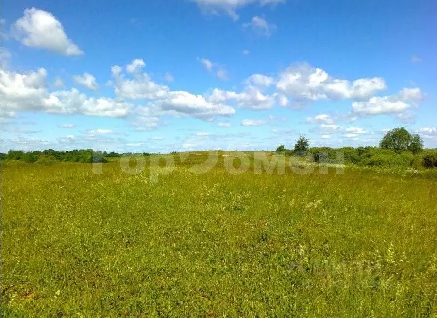 Участок в Московская область, Дедовск Истра городской округ, ул. ... - Фото 0