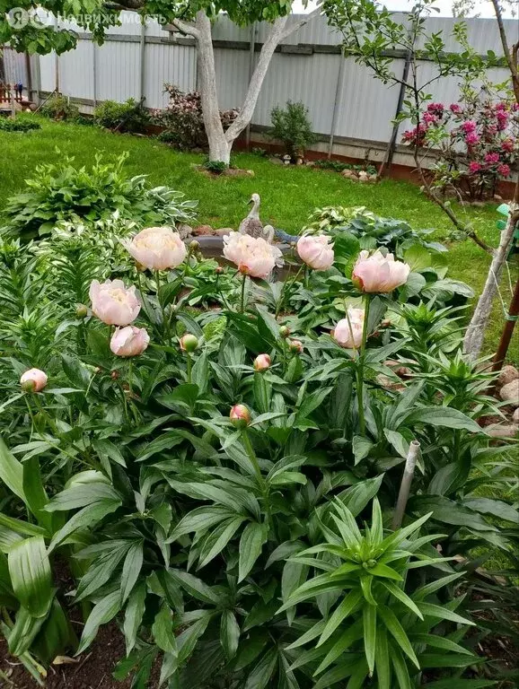 Дом в Ленинградская область, Кировское городское поселение, садовый ... - Фото 1