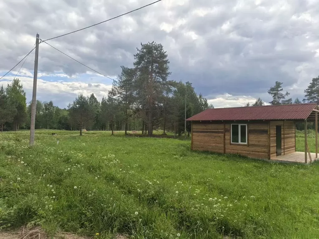 Участок в Ленинградская область, Приозерский район, Мельниковское ... - Фото 1