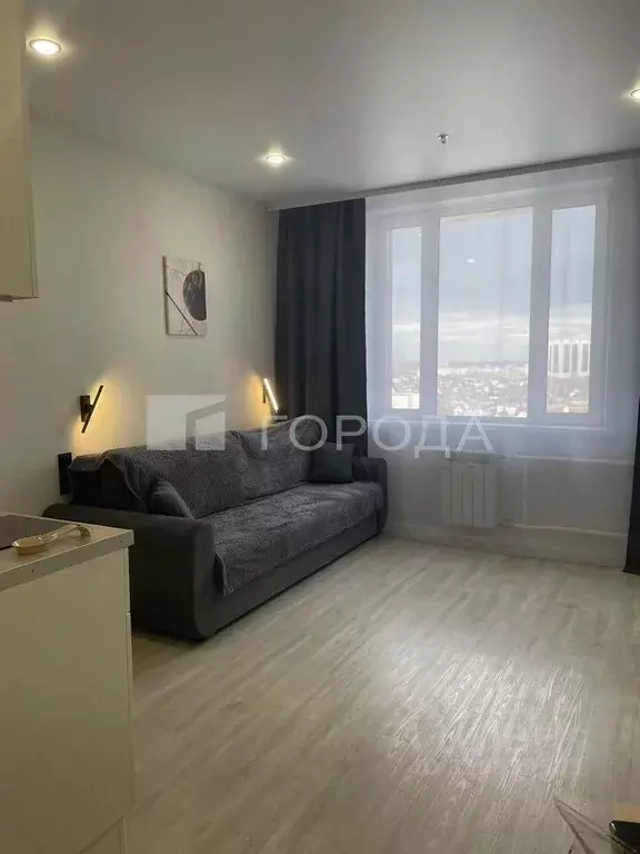 Студия Новосибирская область, Новосибирск ул. Кирова, 113/2 (23.0 м) - Фото 0