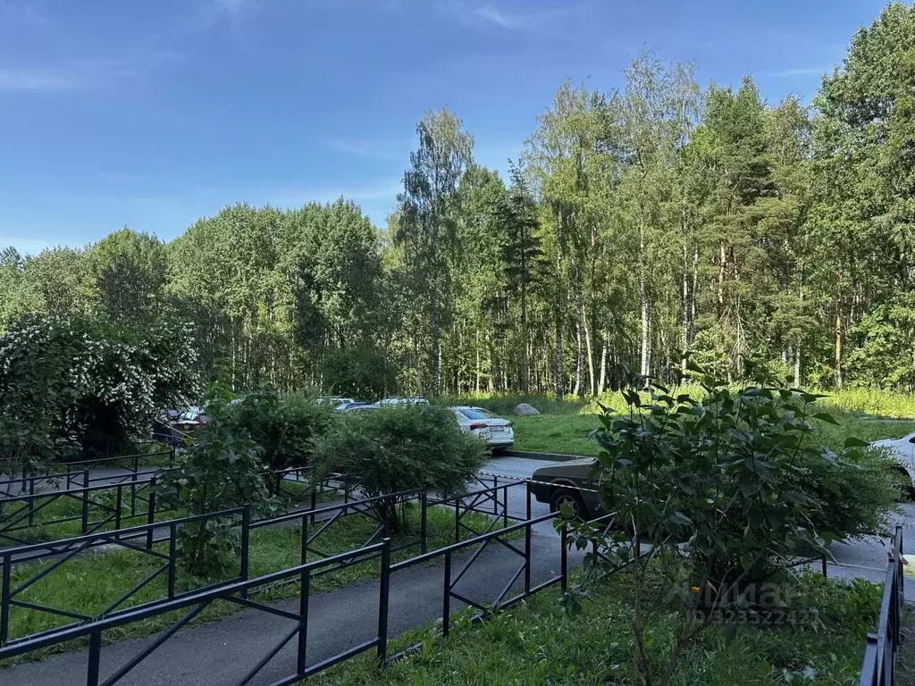 1-к кв. Санкт-Петербург просп. Авиаконструкторов, 49 (46.4 м) - Фото 1