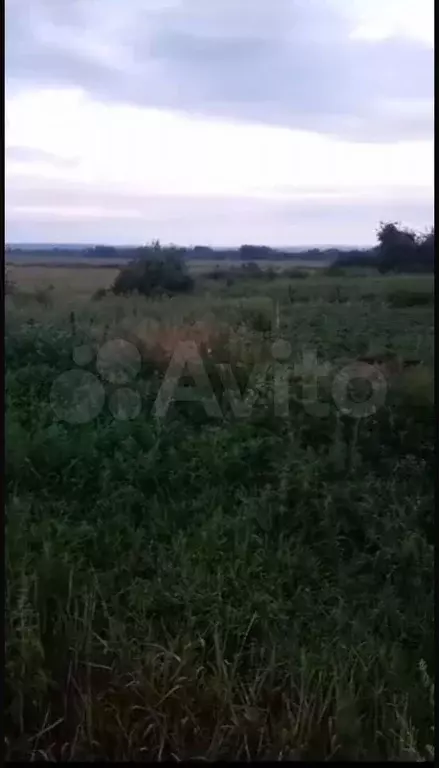 Участок 16 сот. (ИЖС) - Фото 0