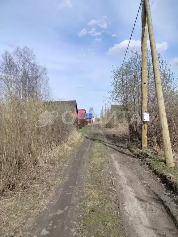 Участок в Тюменская область, Тюмень Ивушка садовое товарищество, ул. ... - Фото 1