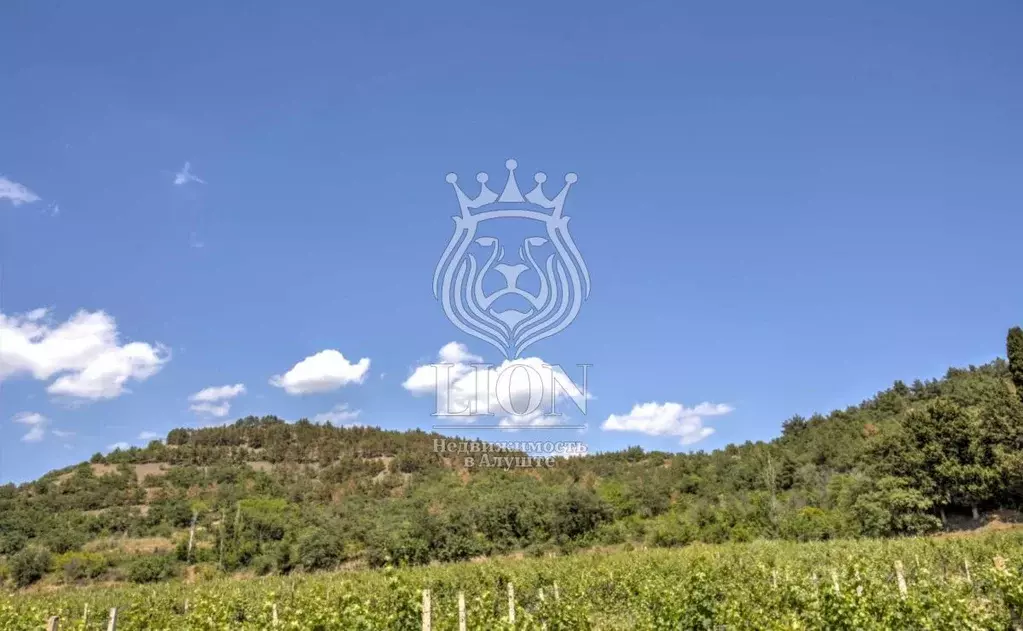 Участок в Крым, Алушта муниципальный округ, с. Нижняя Кутузовка  (22.0 ... - Фото 2