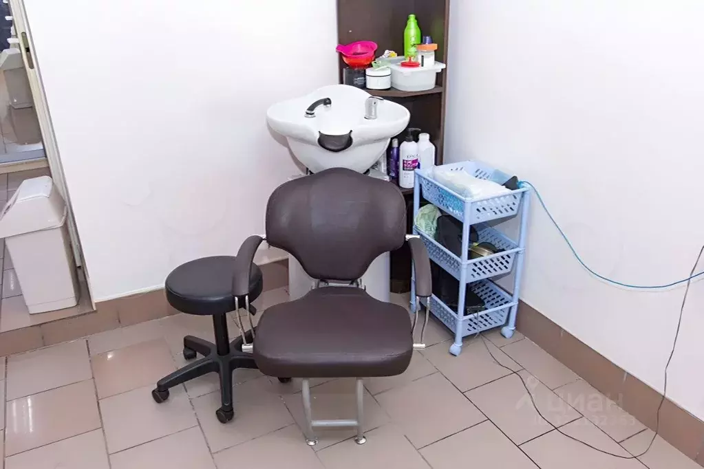 Помещение свободного назначения в Новосибирская область, Новосибирск ... - Фото 1