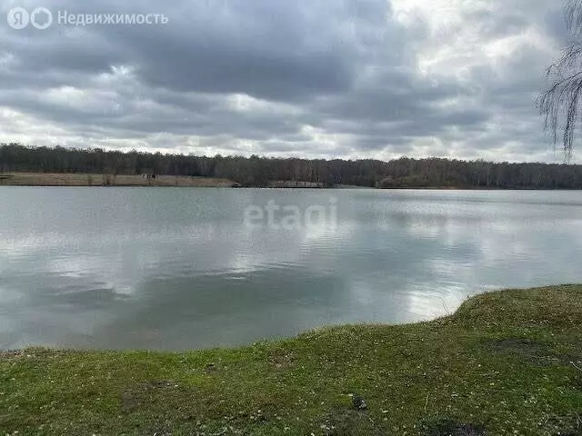 Участок в Тогучинский район, Репьевский сельсовет, село Репьёво (15 м) - Фото 0