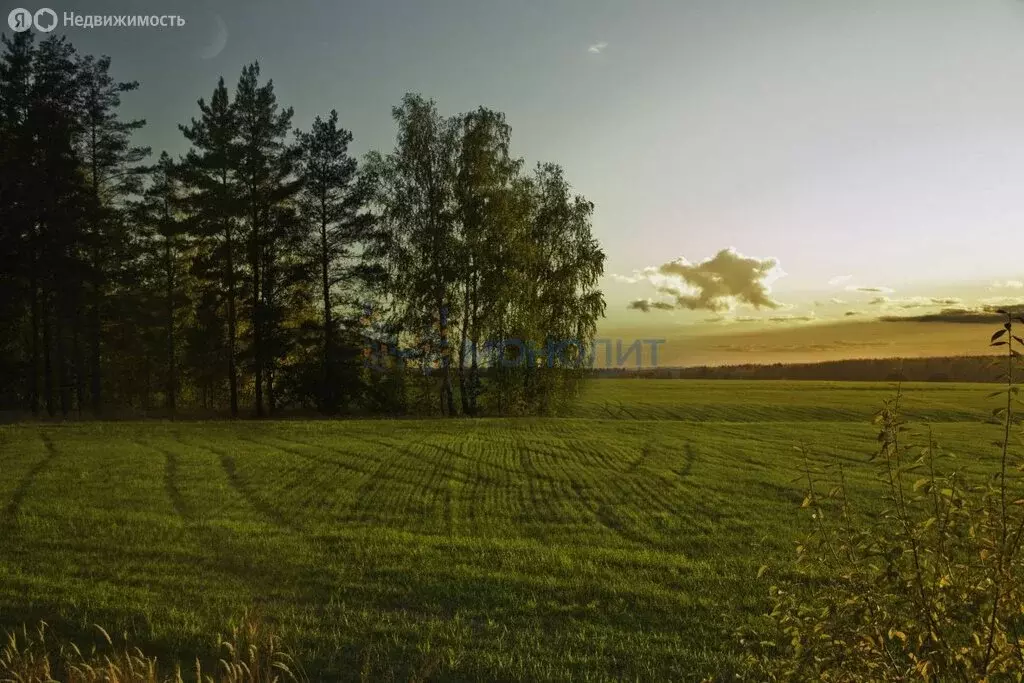 Участок в Нижегородская область, Дальнеконстантиновский муниципальный ... - Фото 1