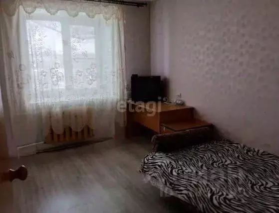 3-к кв. Хабаровский край, Имени Лазо район, Хор рп ул. Менделеева, 8 ... - Фото 0