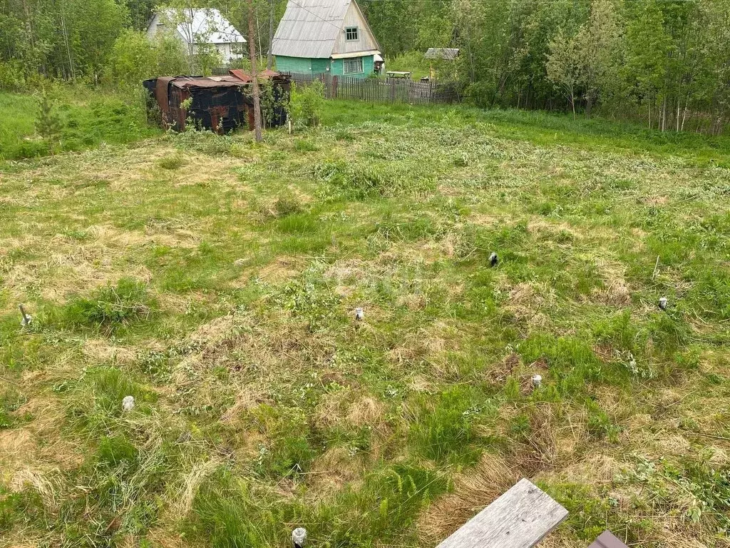 Участок в Коми, Сыктывдинский район, Выльгорт муниципальное ... - Фото 1