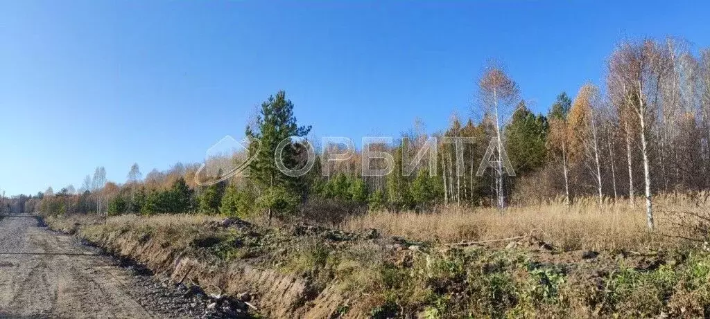 Участок в Тюменская область, Тюмень Царево садовое товарищество, ул. ... - Фото 1