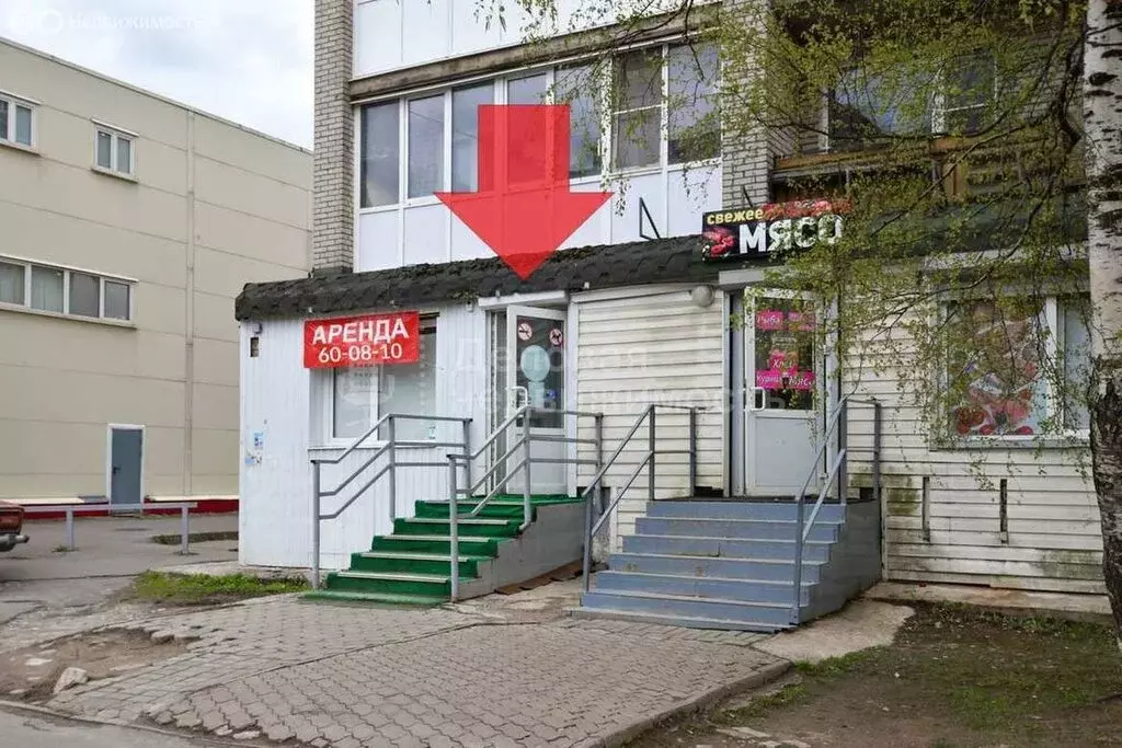 Помещение свободного назначения (53 м) - Фото 0