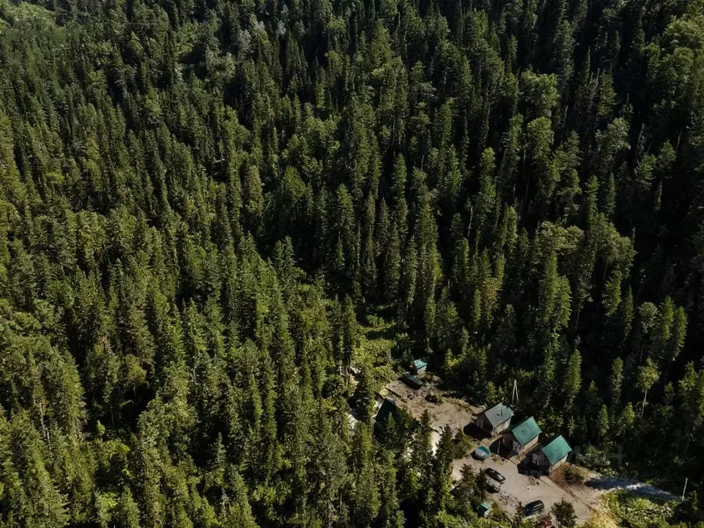Участок в Алтай, Турочакский район, с. Озеро-Куреево Береговая ул. ... - Фото 1