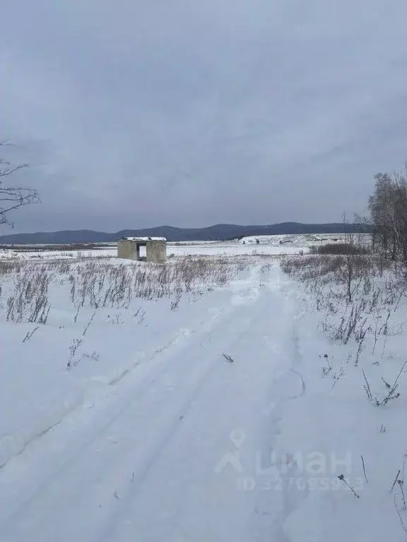 Участок в Забайкальский край, Улетовский муниципальный округ, с. Арей  ... - Фото 1