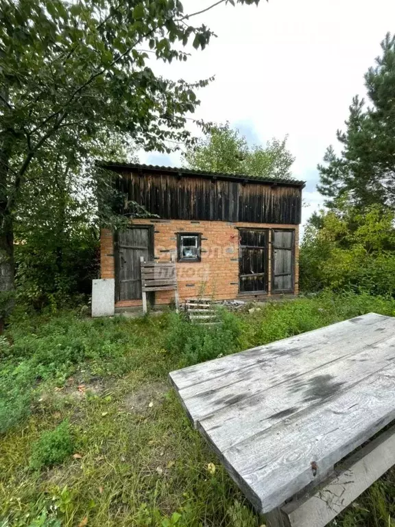 Участок в Новосибирская область, Коченевский район, Луч СНТ 38 (6.0 ... - Фото 0