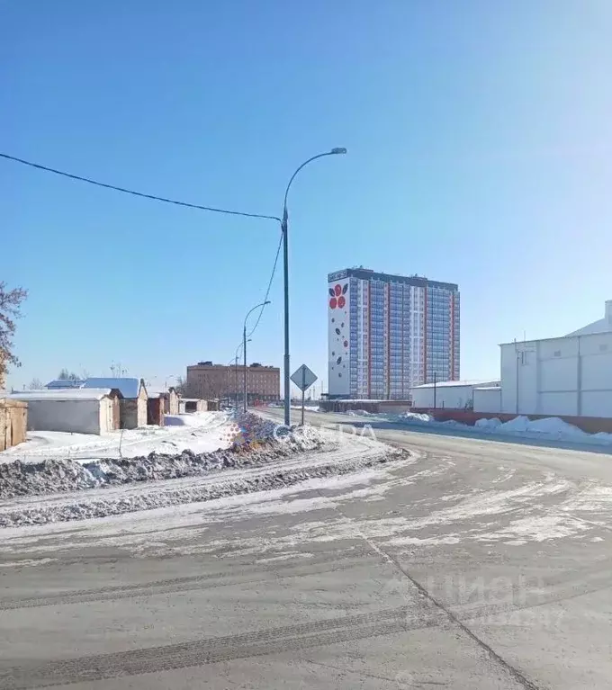 Участок в Новосибирская область, Новосибирский район, с. Криводановка, ... - Фото 2