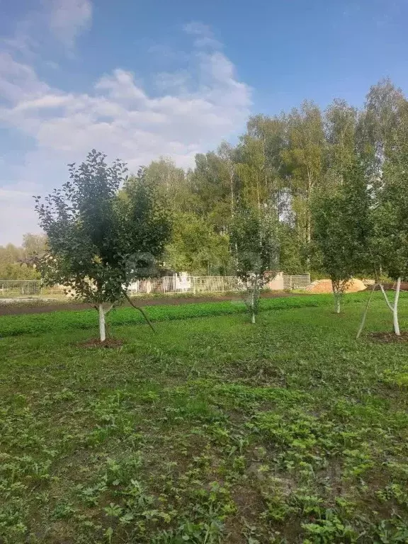 Участок в Вологодская область, Шекснинский муниципальный округ, ... - Фото 1