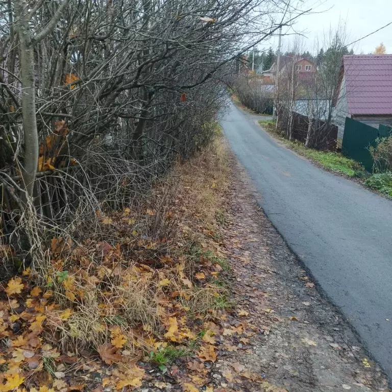 Участок в Архангельская область, Приморский муниципальный округ, ... - Фото 1