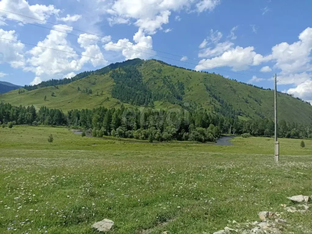 Участок в Алтай, Шебалинский район, с. Барагаш ул. Калинина (4730.0 ... - Фото 0