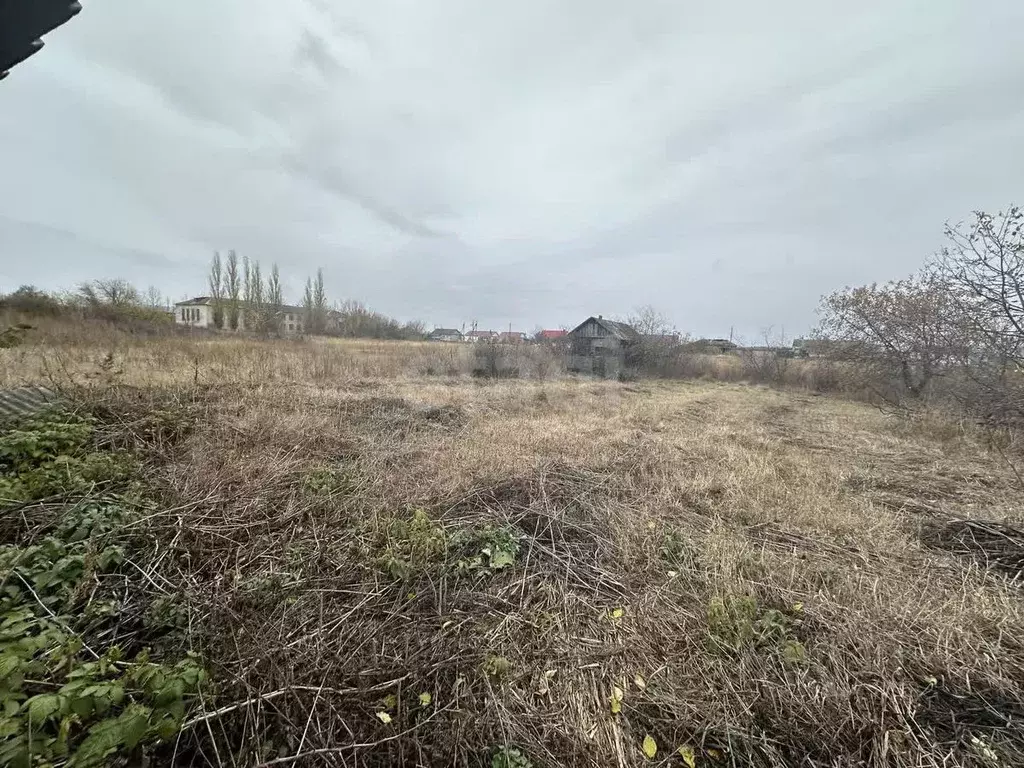 Участок в Воронежская область, Борисоглебский городской округ, с. ... - Фото 0