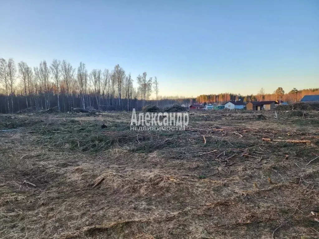 Участок в Ленинградская область, Приозерский район, Ларионовское ... - Фото 1