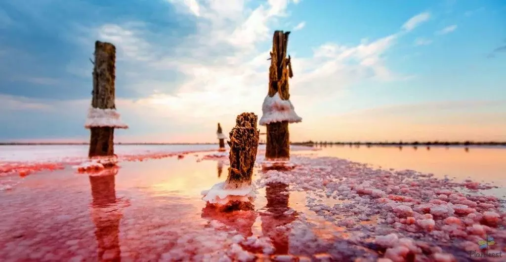 Участок в Крым, Ленинский район, Семисотское с/пос, с. Соляное  (6.3 ... - Фото 2