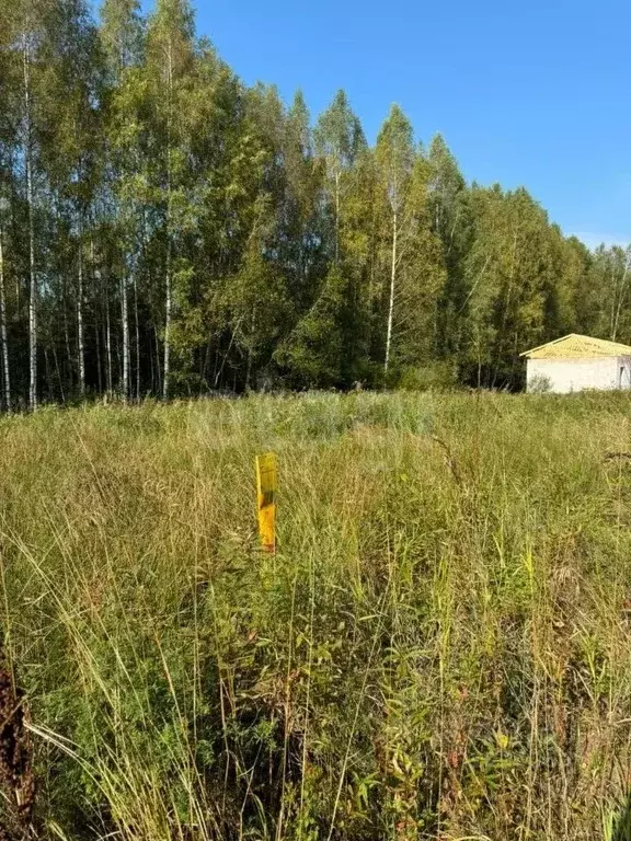 Участок в Ленинградская область, Приозерский район, Красноозерное ... - Фото 1