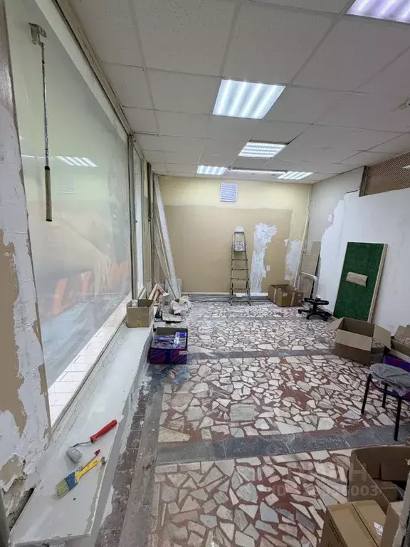 Помещение свободного назначения в Чувашия, Чебоксары ул. Чапаева, 16 ... - Фото 2