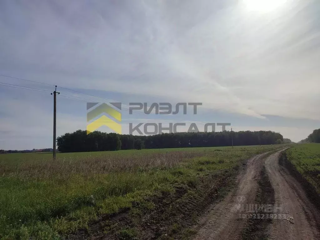 Участок в Омская область, Омский район муниципальный округ, Омское ... - Фото 1