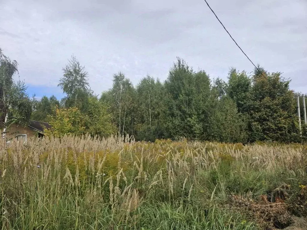 Участок в Нижегородская область, Кстовский муниципальный округ, с. ... - Фото 1