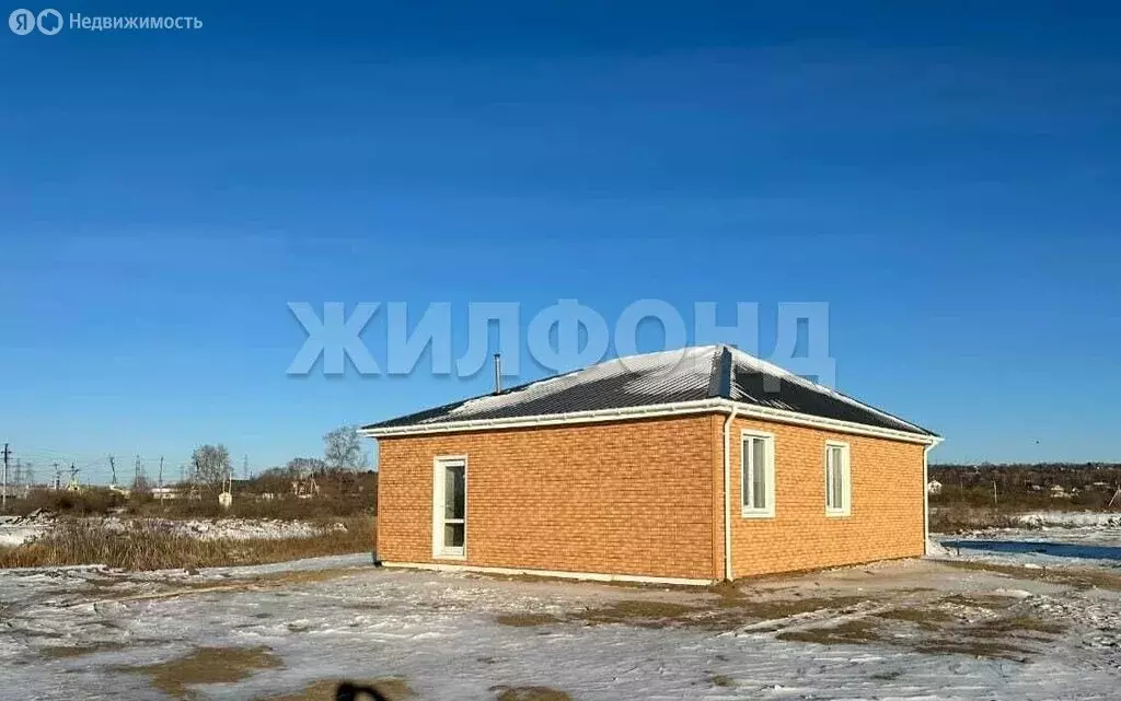 Дом в Благовещенск, Игнатьевское шоссе (71.1 м) - Фото 2