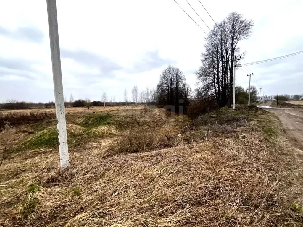 Участок в Московская область, Луховицы Майское садовое товарищество, ... - Фото 2