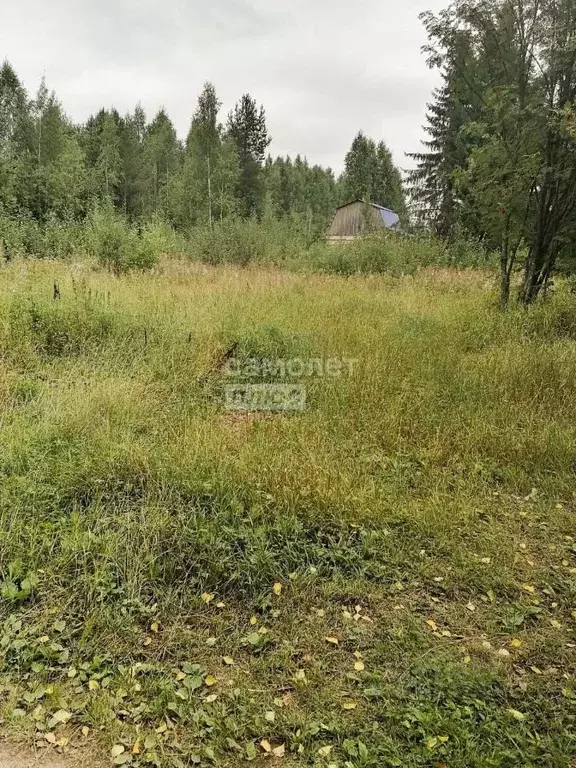 Участок в Коми, Сыктывкар городской округ, пос. Верхний Мыртыю ул. ... - Фото 0