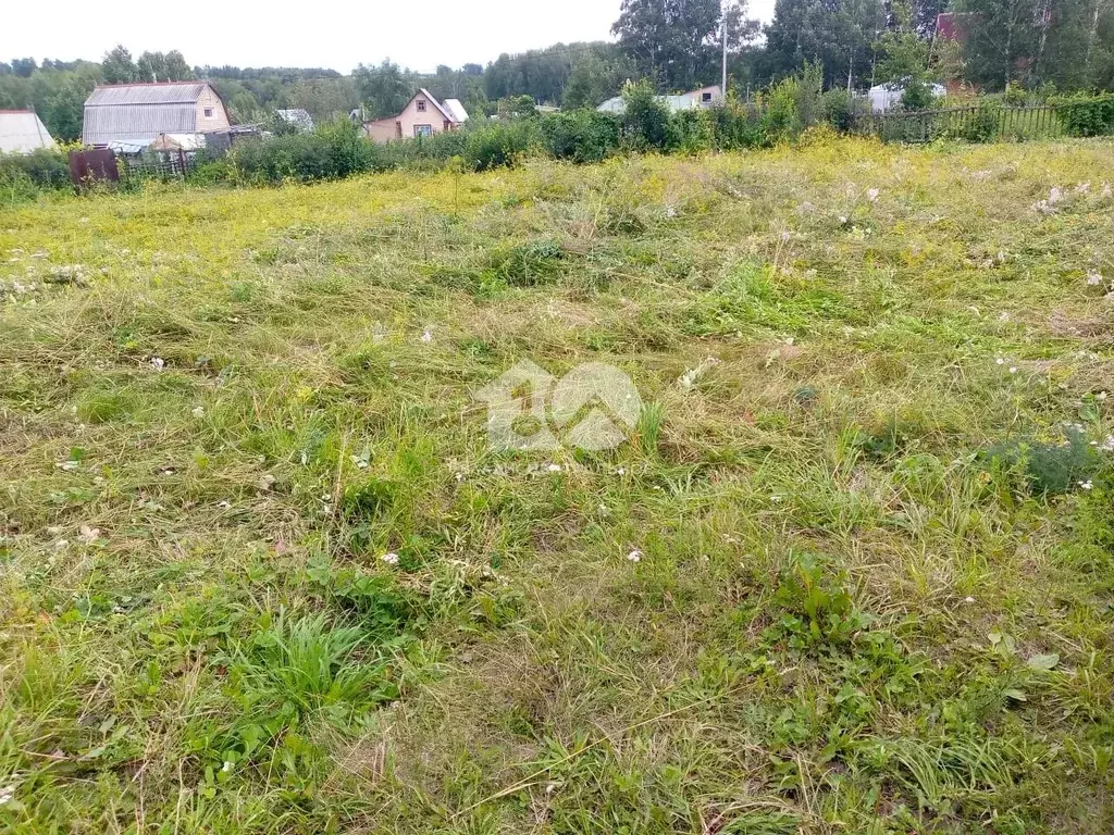 Участок в Новосибирская область, Бердск Ива СНТ, ул. 13-я, 20 (5.83 ... - Фото 1