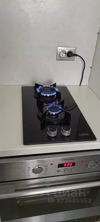 Дом в Калининградская область, Зеленоградск Волна садоводческое ... - Фото 2