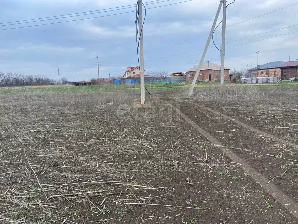 Участок в Ростовская область, Мясниковский район, с. Большие Салы ул. ... - Фото 1