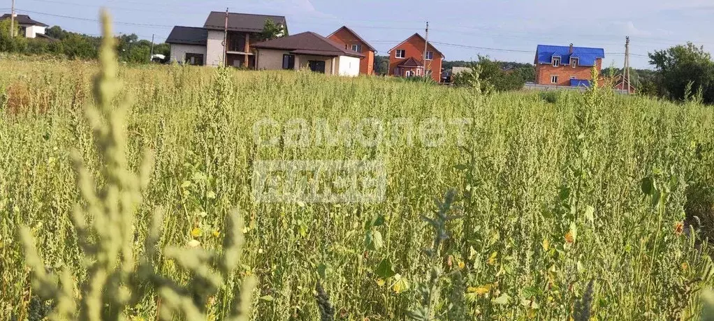 Участок в Курская область, Курский район, Моковский сельсовет, д. 2-я ... - Фото 1
