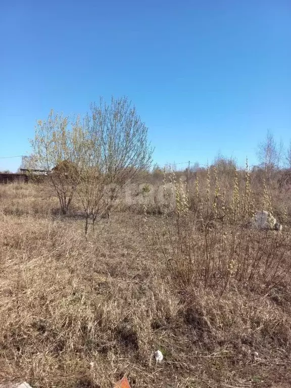 Участок в Новосибирская область, Новосибирский район, Станционный ... - Фото 0