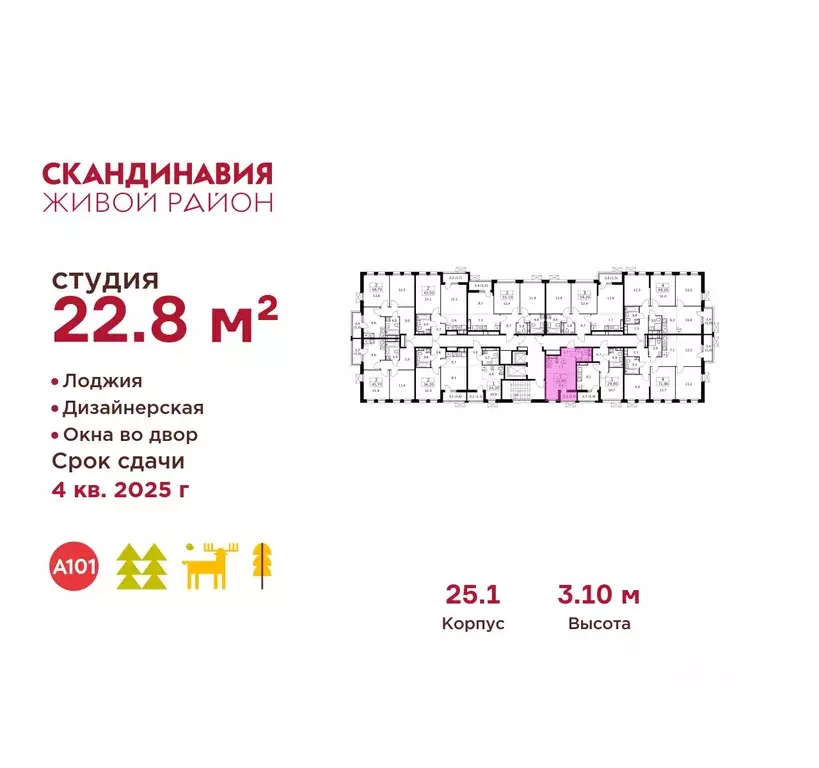 Студия Москва Скандинавия жилой комплекс, 25.1 (22.8 м) - Фото 1