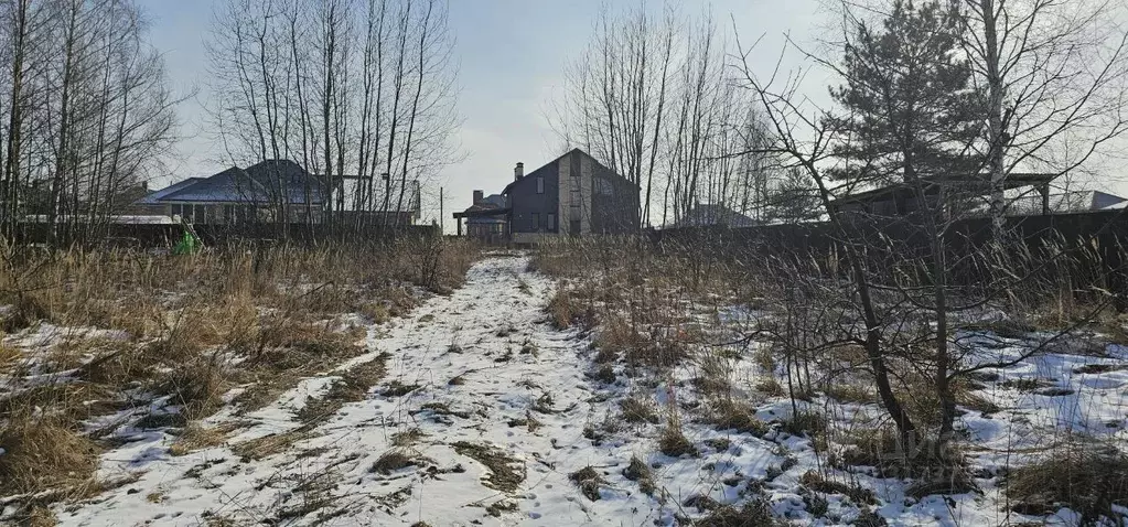 Участок в Московская область, Луховицы пер. Дивный, 3 (12.0 сот.) - Фото 1