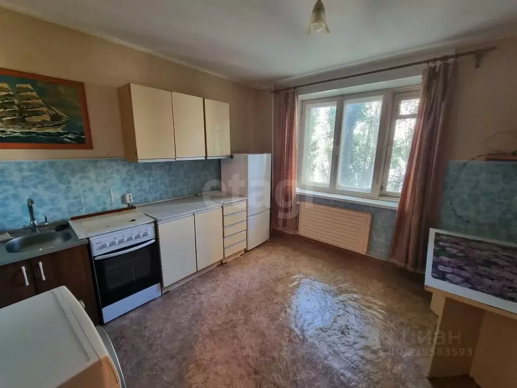 1-к кв. Саратовская область, Балашов Фестивальная ул., 18 (31.3 м) - Фото 0