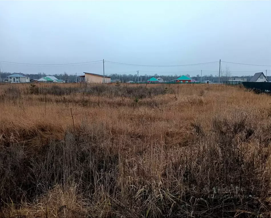 Участок в Ульяновская область, Чердаклинский район, Мирновское с/пос, ... - Фото 1