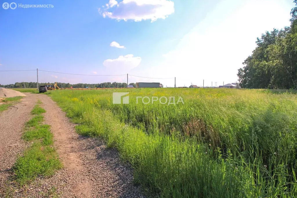 Участок в Павловский район, ДНТ Молодёжный (10 м) - Фото 0