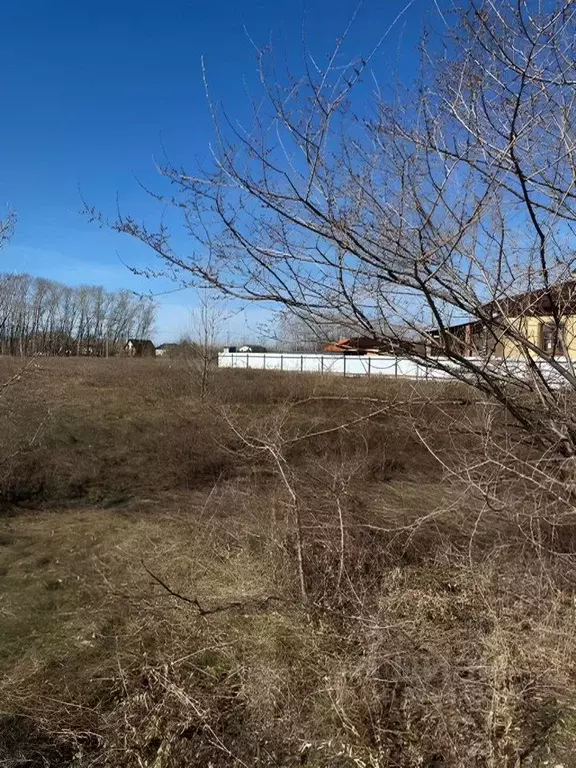 Участок в Омская область, Омский район, с. Усть-Заостровка, Иртышские ... - Фото 0