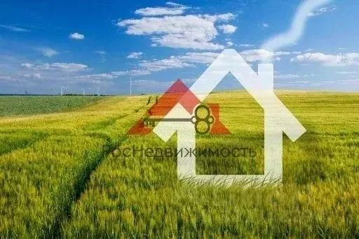 Участок в Владимирская область, Кольчугинский муниципальный округ, д. ... - Фото 1