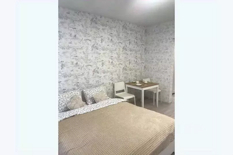 1-к кв. Татарстан, Казань ул. Николая Ершова, 65Б/1 (30.0 м) - Фото 1