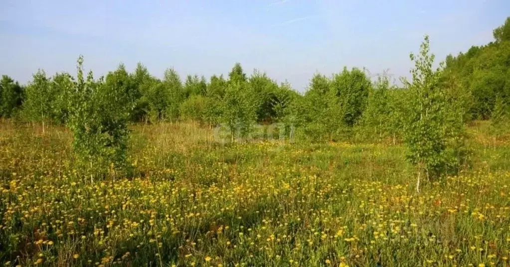 Участок в Псковская область, Печорский муниципальный округ, д. ... - Фото 1