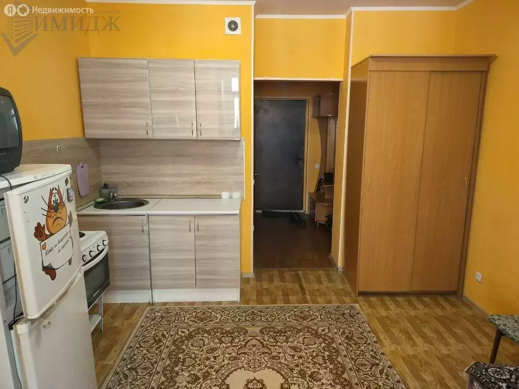 Квартира-студия: Красноярск, улица Борисова, 40 (24 м) - Фото 1