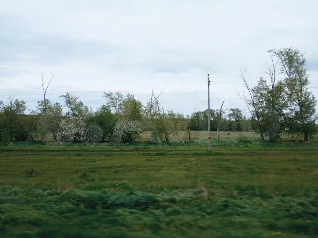 Участок 10 сот. (ИЖС) - Фото 0