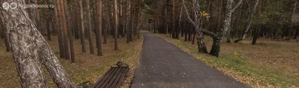 Участок в муниципальный округ Омский район, село Новотроицкое (4.01 м) - Фото 2