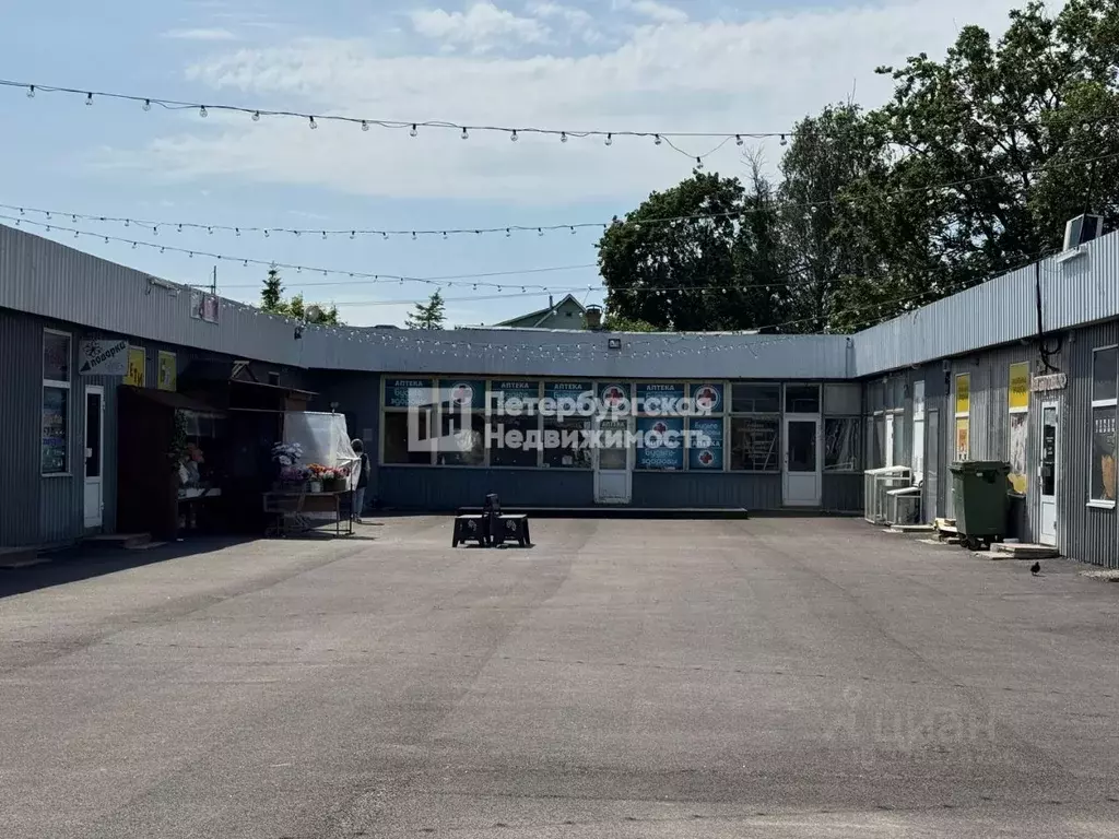 Торговая площадь в Ленинградская область, Гатчина ул. Куприна, 10/18 ... - Фото 1